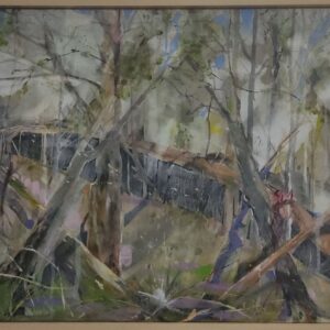 Virgin Forest 4