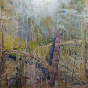 Virgin Forest 1