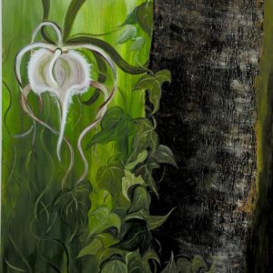 Wilde Orchidee
