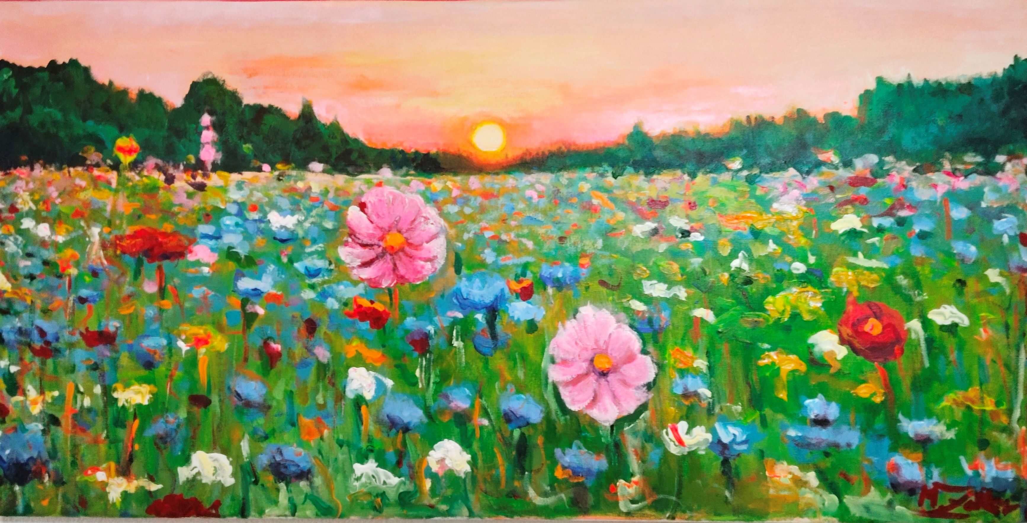 Blumenwiese im Sonnenuntergang