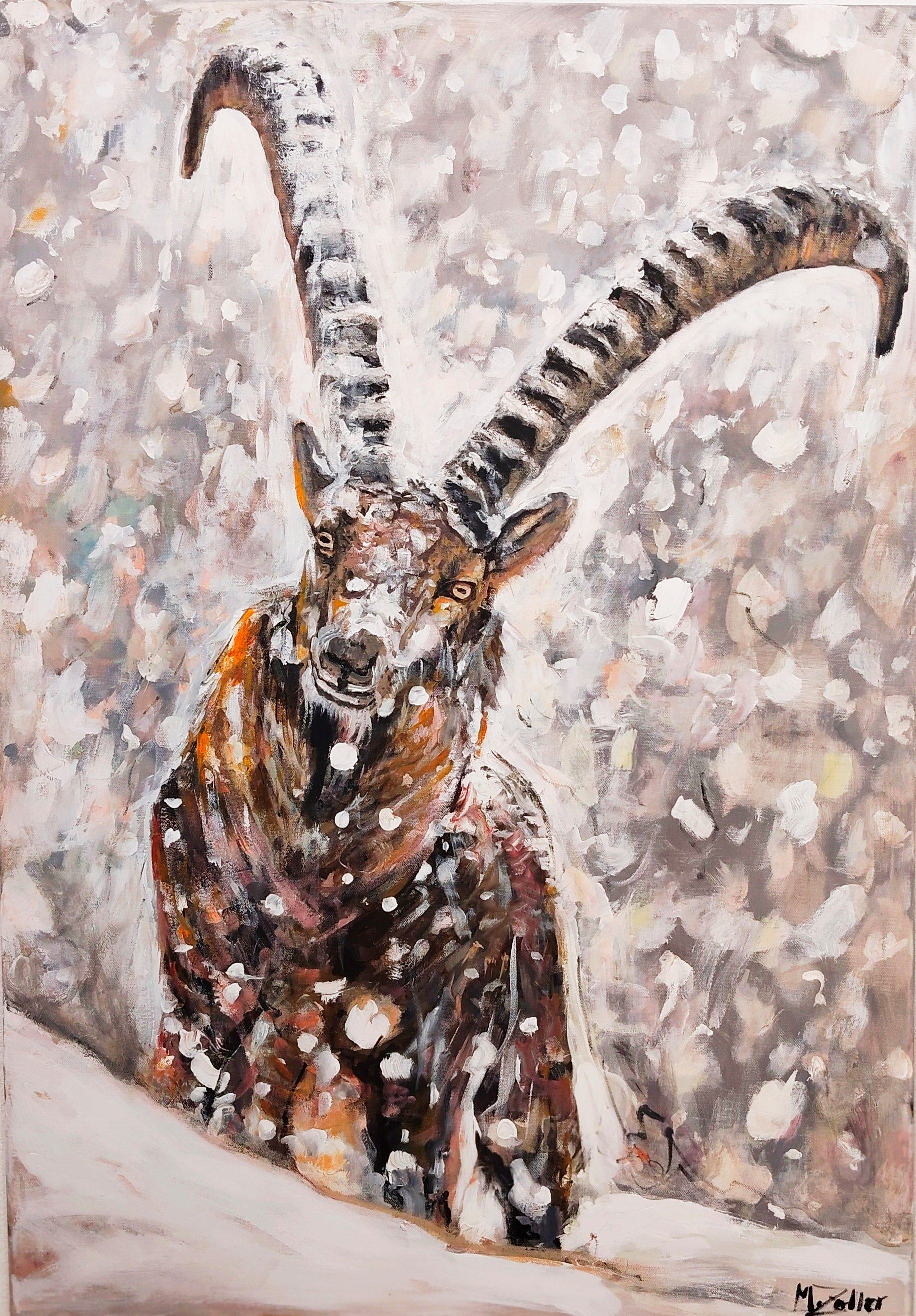 Steinbock im Schneesturm