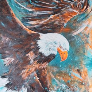 Weißkopfseeadler - König der Lüfte