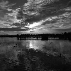 Möwen im Flug bei untergehender Sonne