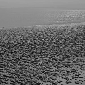 Kunst am Tejo - Teil 3