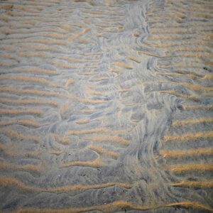 Natürliche Kunst am Strand - Unikat