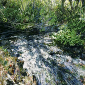 SMALL RIVER IN CHIAROSCURO