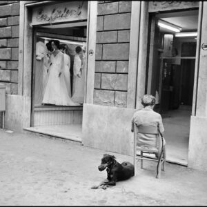Woman, Dog and Wedding Dresses