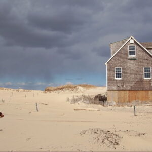 House and Dog under a Dark Sky