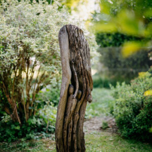 Menschliches Innenleben